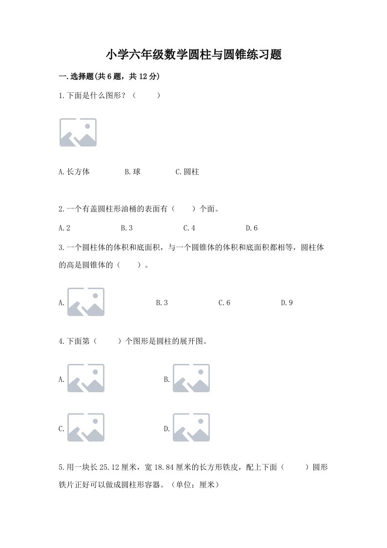 小学六年级数学圆柱与圆锥练习题及精品答案