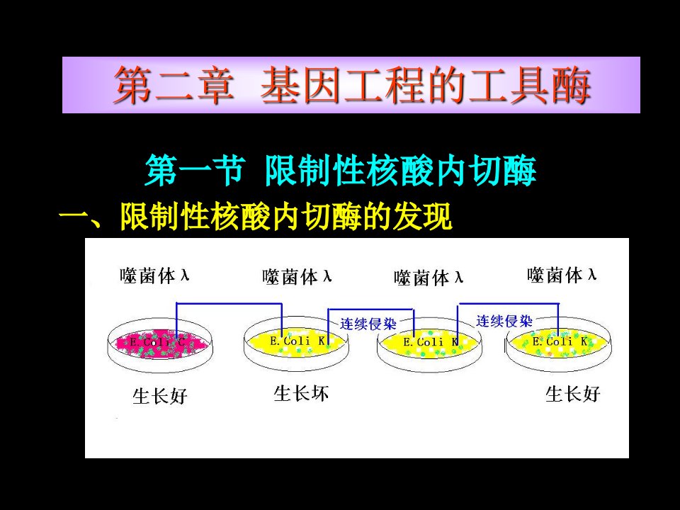 05-基因工程第二章