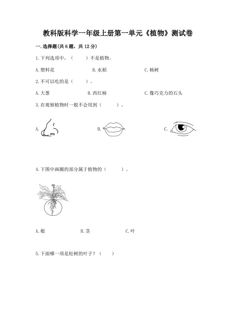 教科版科学一年级上册第一单元《植物》测试卷（历年真题）word版