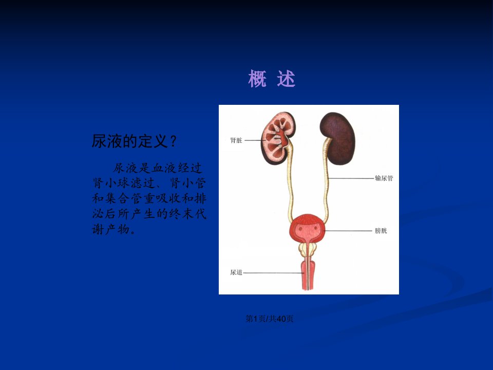 尿液检查实用