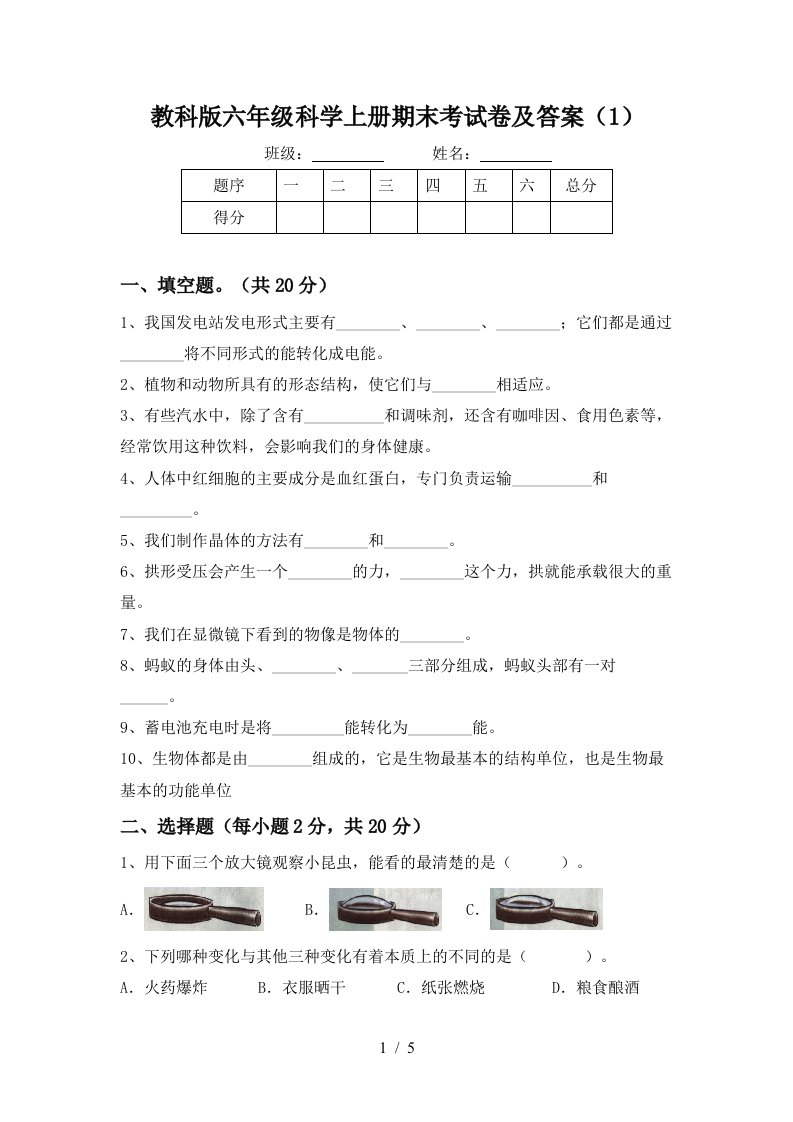 教科版六年级科学上册期末考试卷及答案1