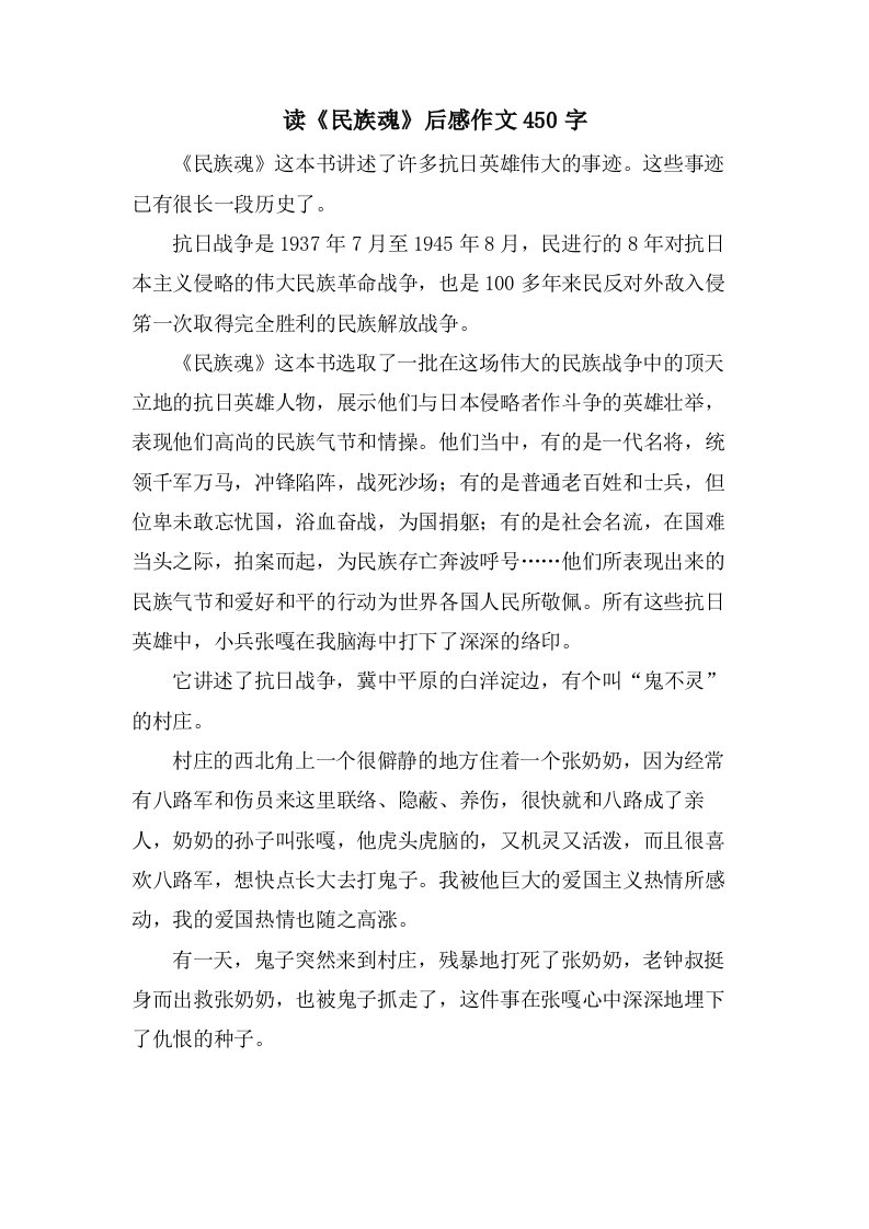 读《民族魂》后感作文450字