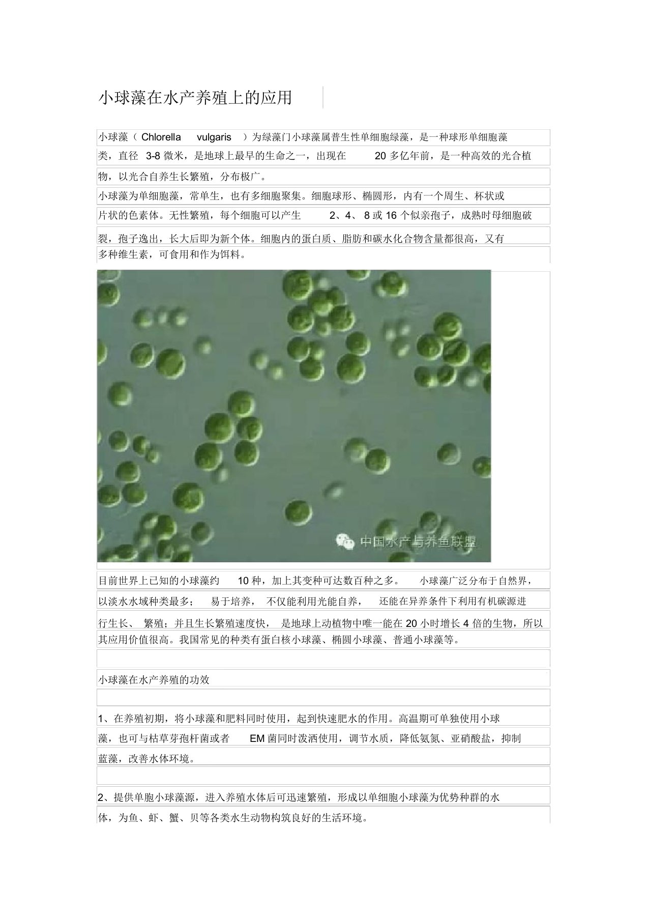 小球藻在水产养殖上的应用