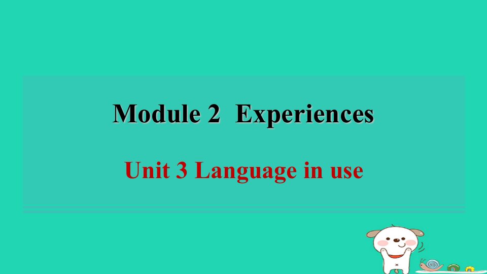 2024八年级英语下册Module2ExperiencesUnit3Languageinuse习题课件新版外研版