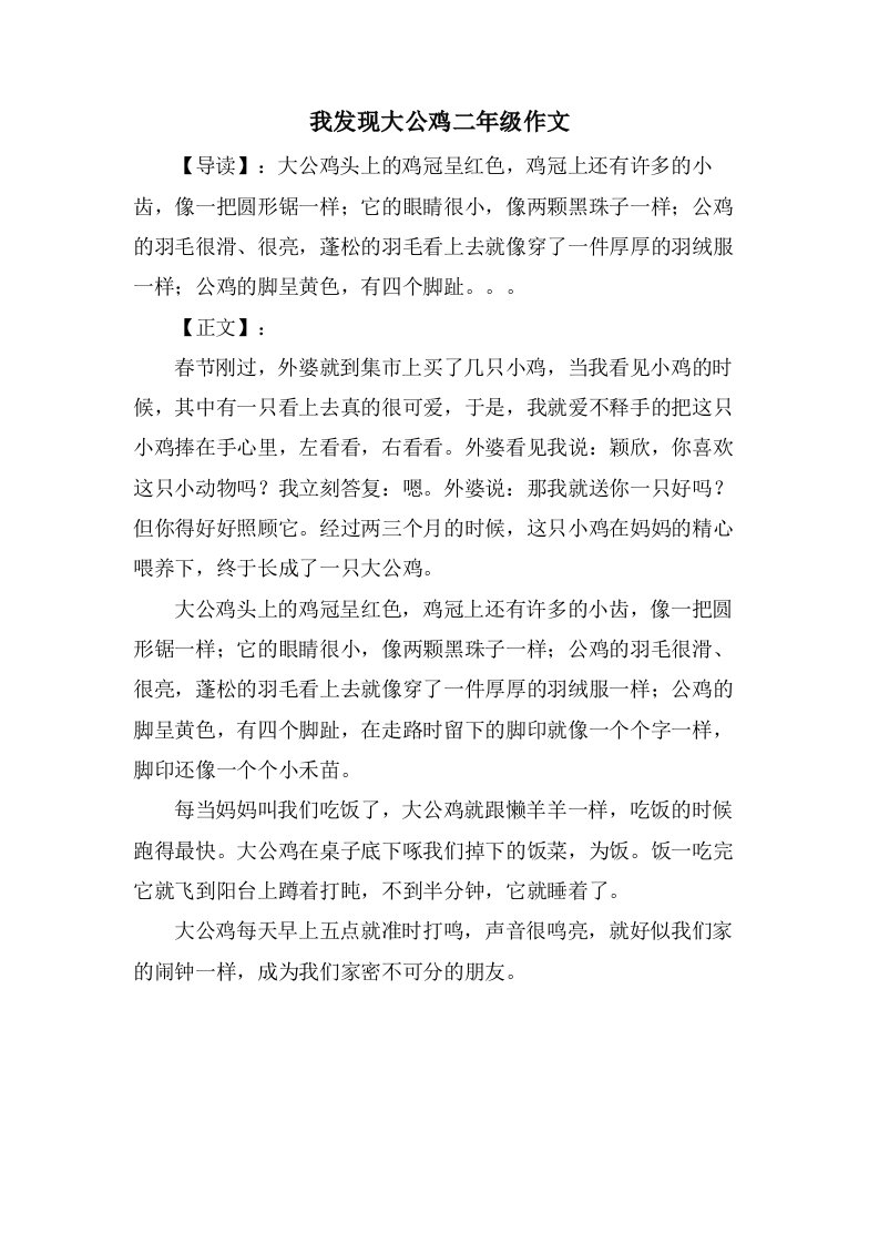 我发现大公鸡二年级作文