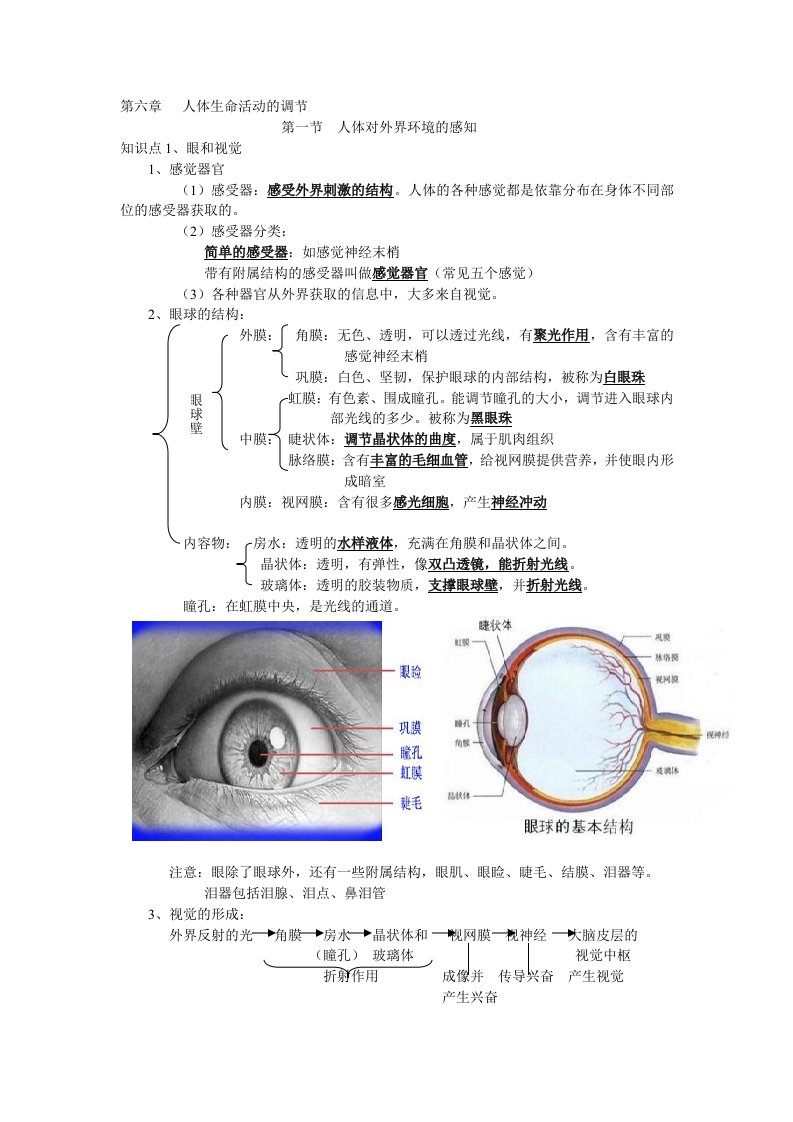 人体生命活动的调节知识点提纲