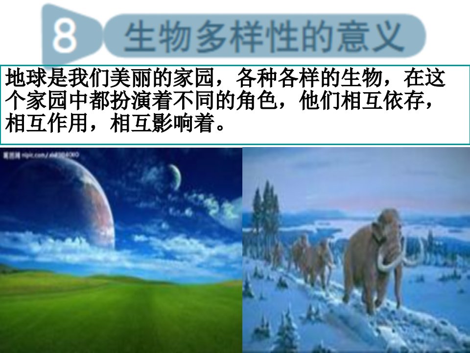 教科版科学六年级上册《生物多样性的意义》