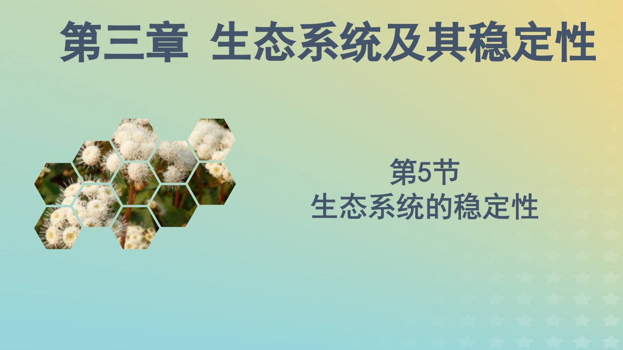 新教材同步备课系列2023高中生物3.5生态系统的稳定性课件新人教版选择性必修2