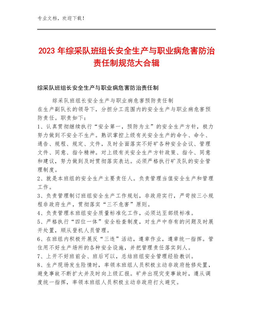 2023年综采队班组长安全生产与职业病危害防治责任制规范大合辑