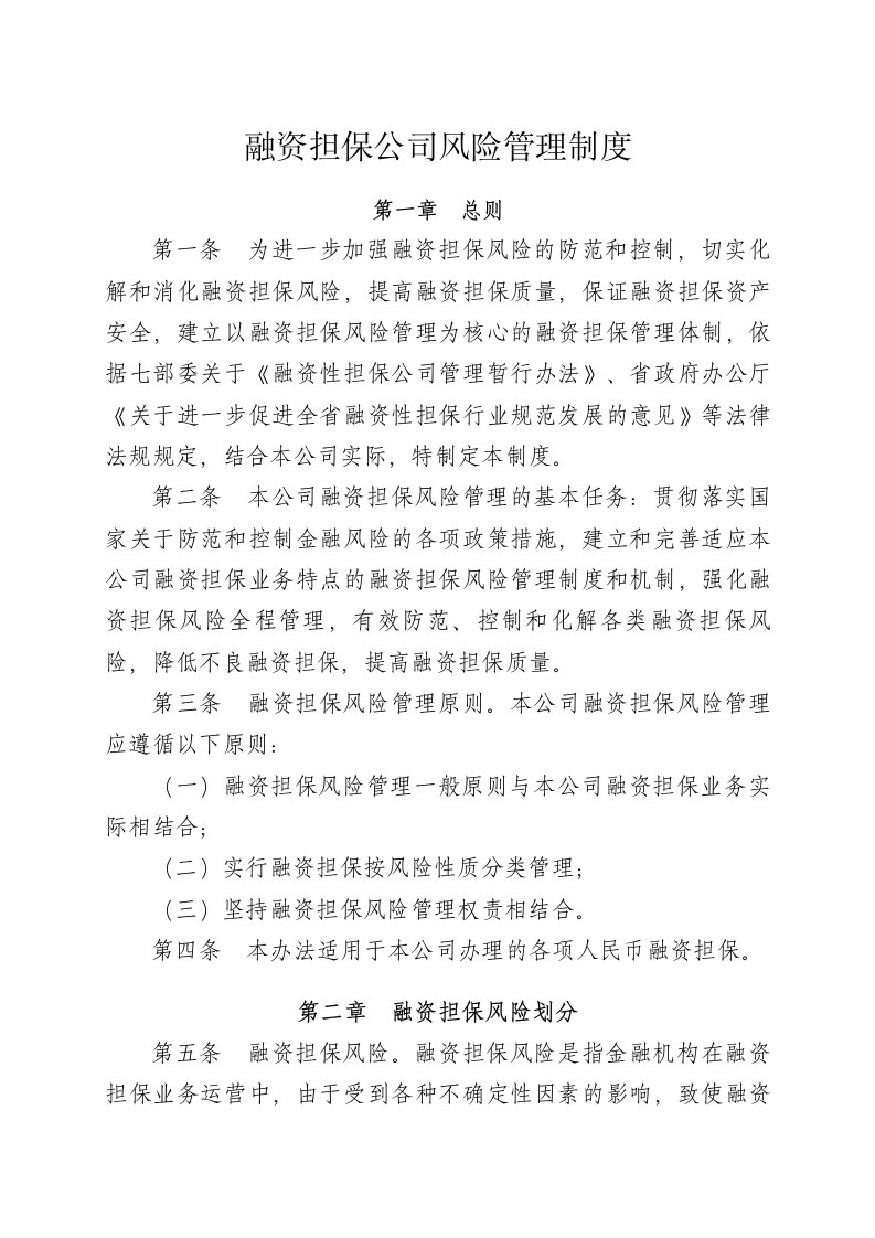 融资担保公司风险管理制度