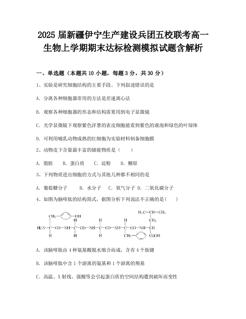 2025届新疆伊宁生产建设兵团五校联考高一生物上学期期末达标检测模拟试题含解析