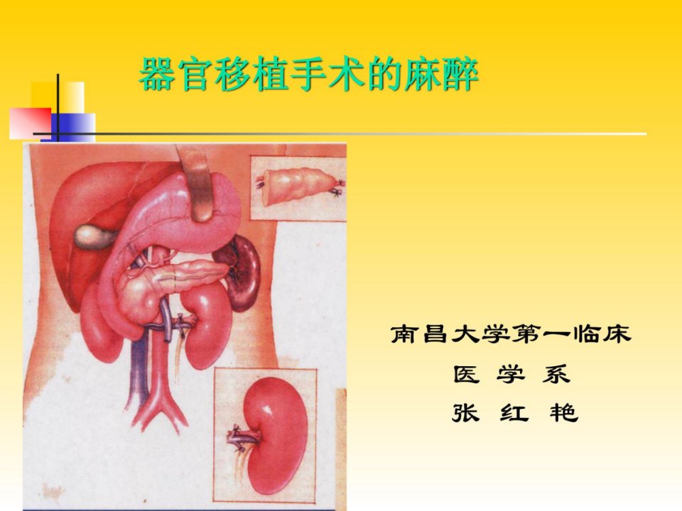 罕见器官移植麻醉-南昌大学