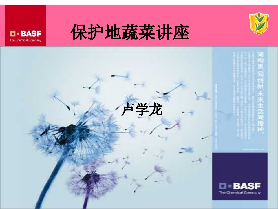 BASF蔬菜解决方案