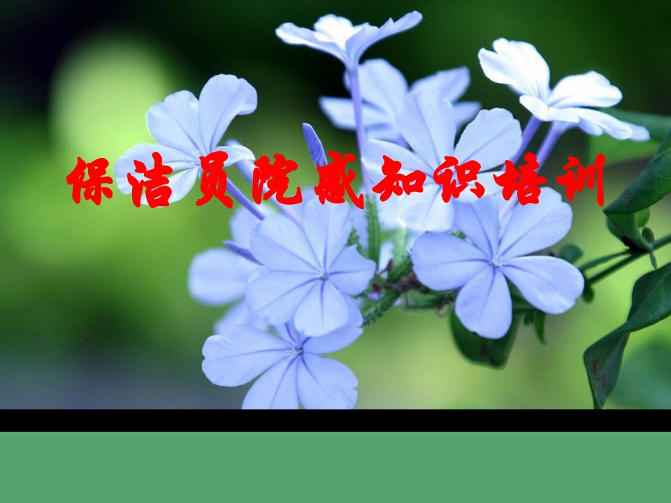 保洁员培训（PPT42页)