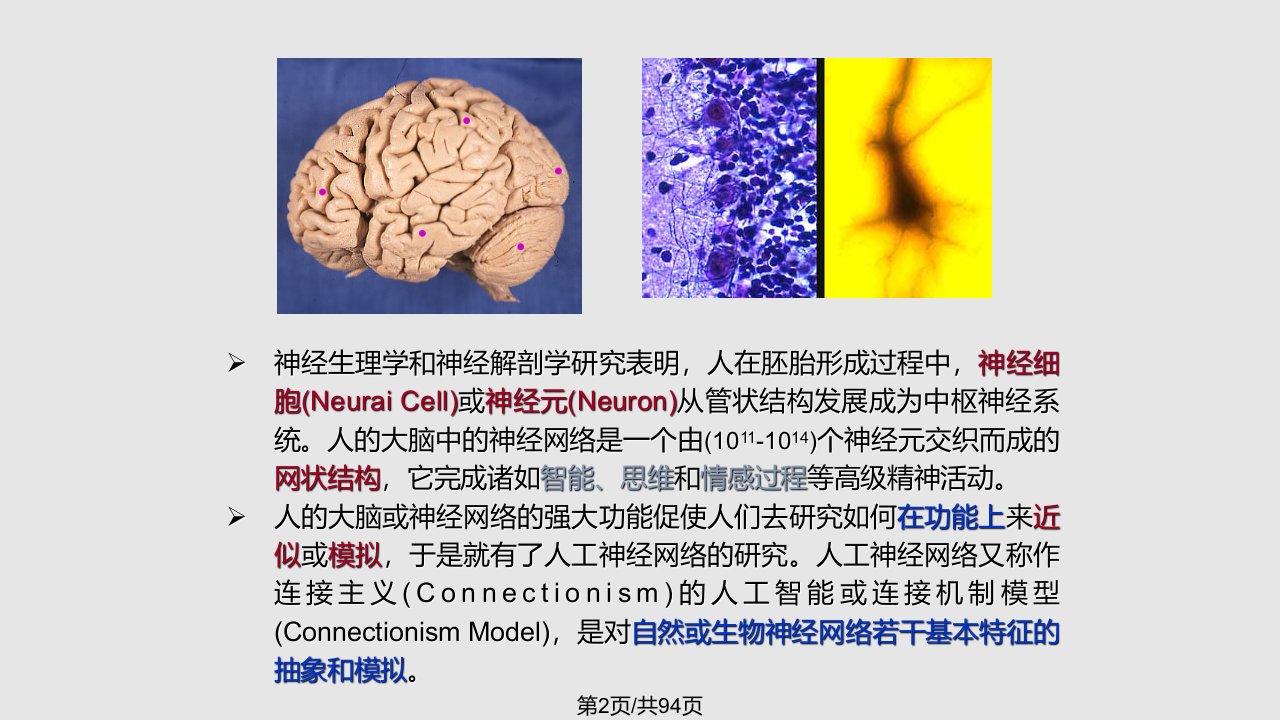 IC神经网络基础论文资料