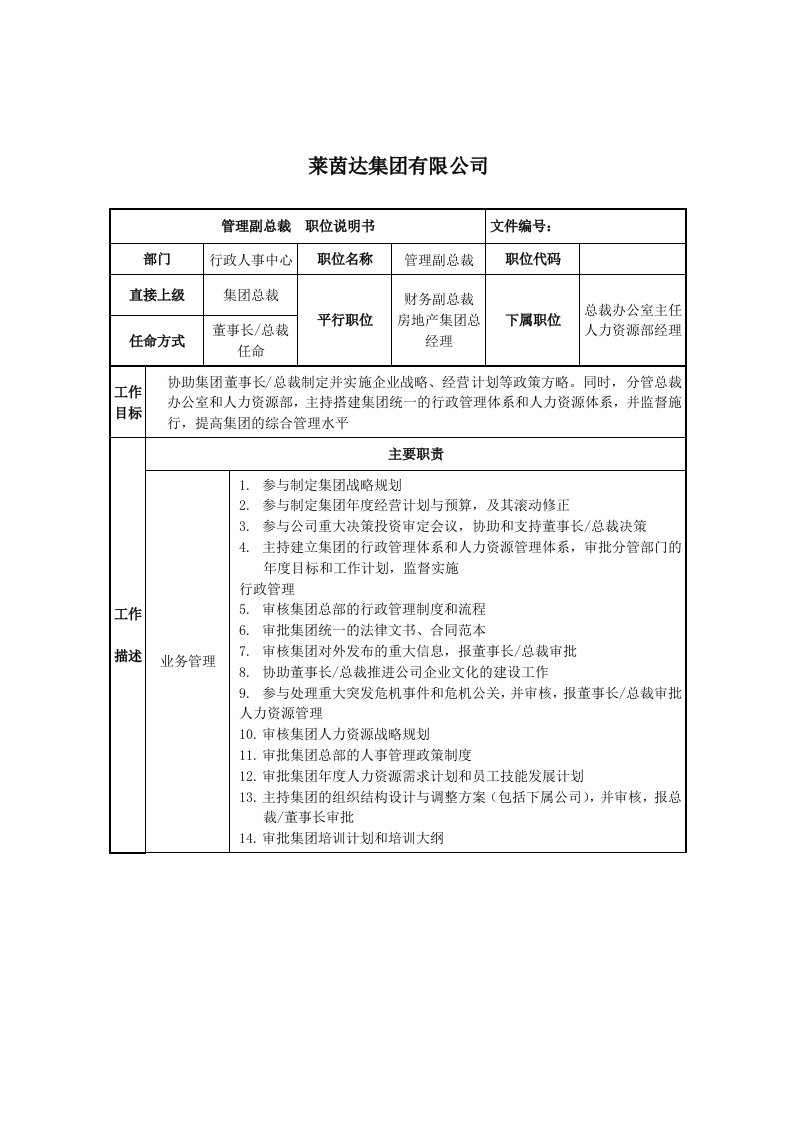 莱茵达公司管理副总裁职位说明书