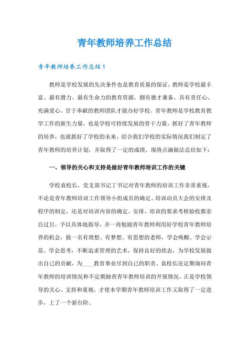 青年教师培养工作总结