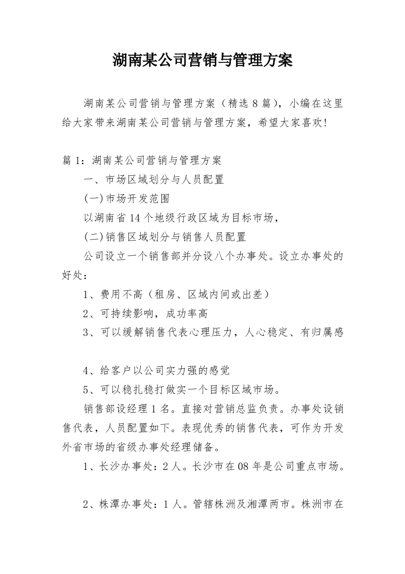 湖南某公司营销与管理方案