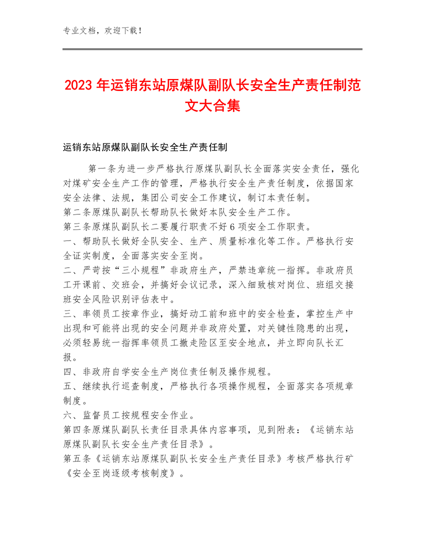 2023年运销东站原煤队副队长安全生产责任制范文大合集