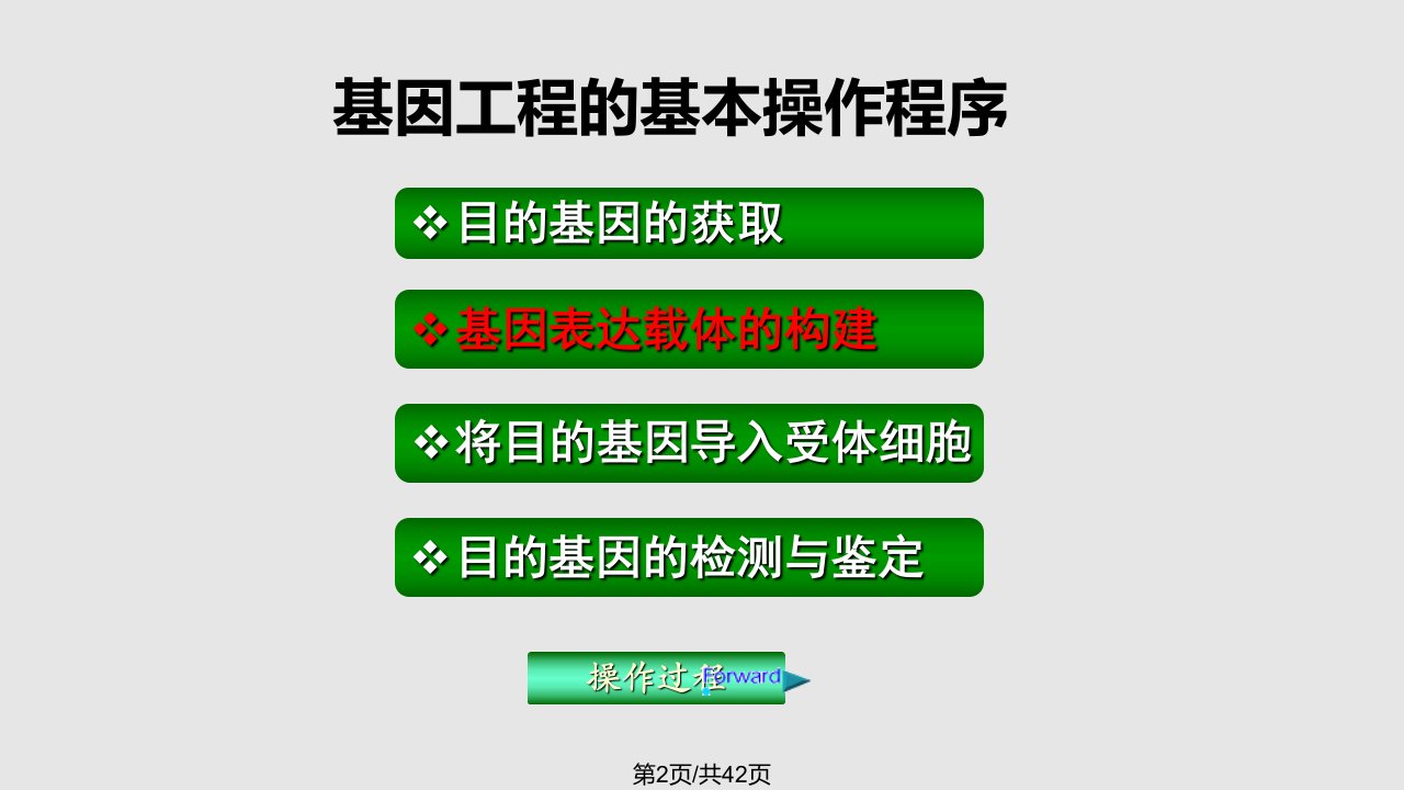 级基因表达载体的构建