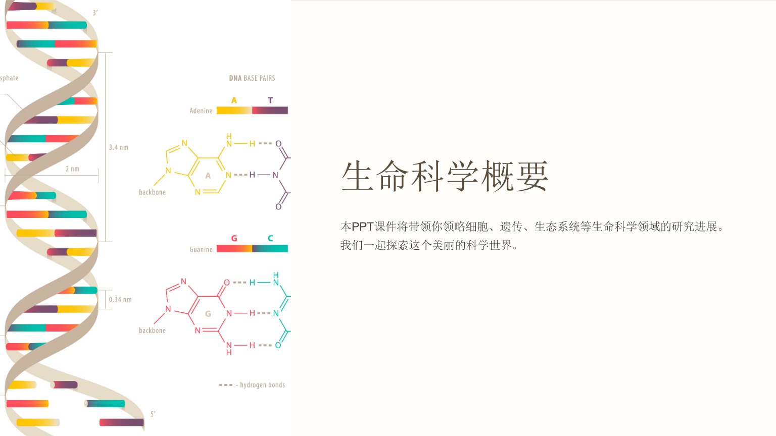 《生命科学概要》课件