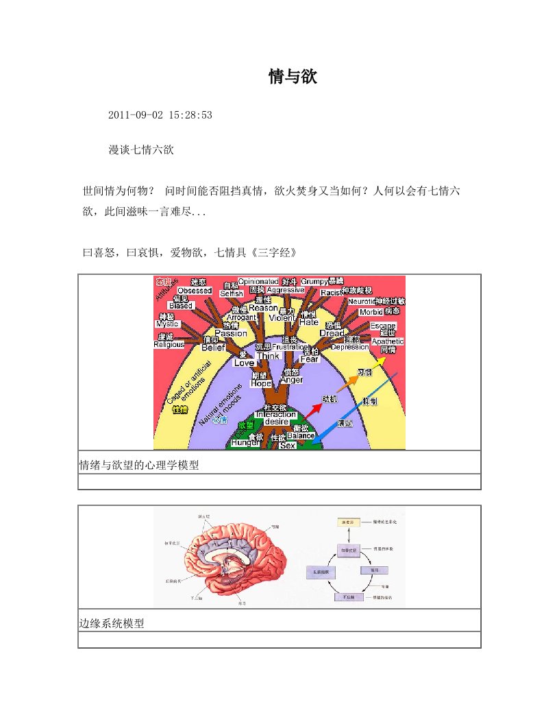 细说情与欲