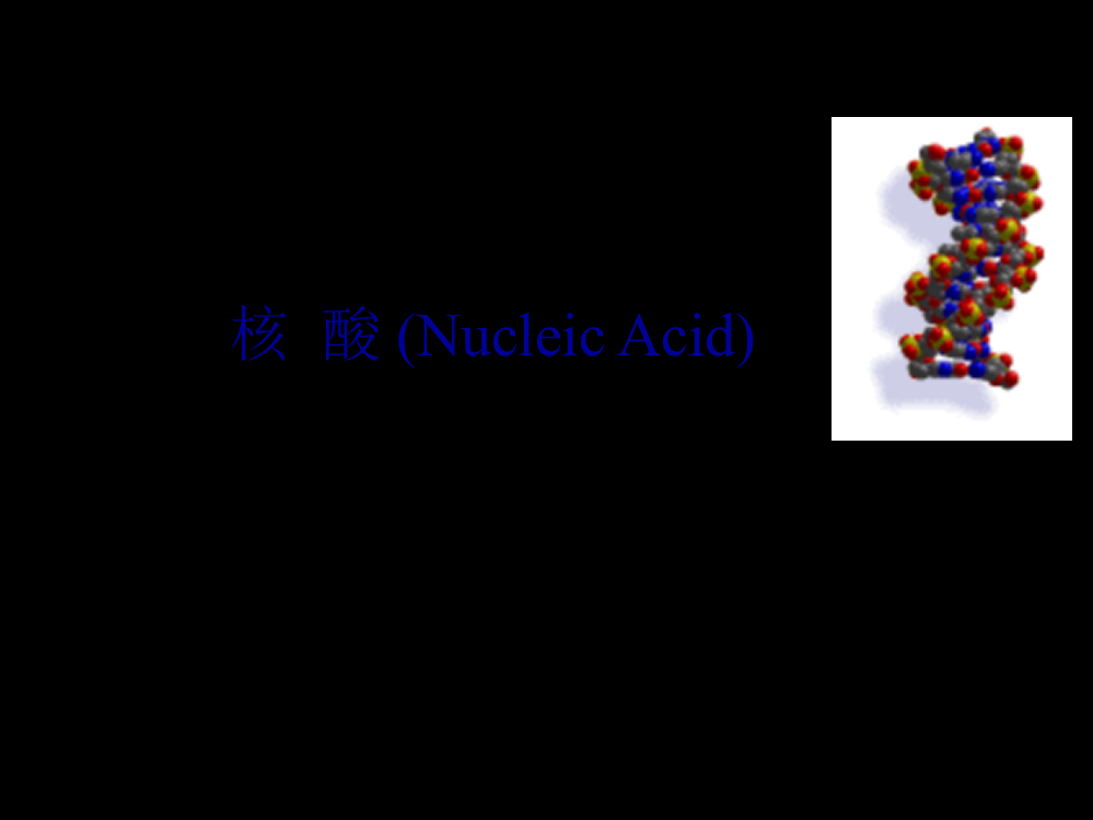 生物化学第三章核酸1ppt课件