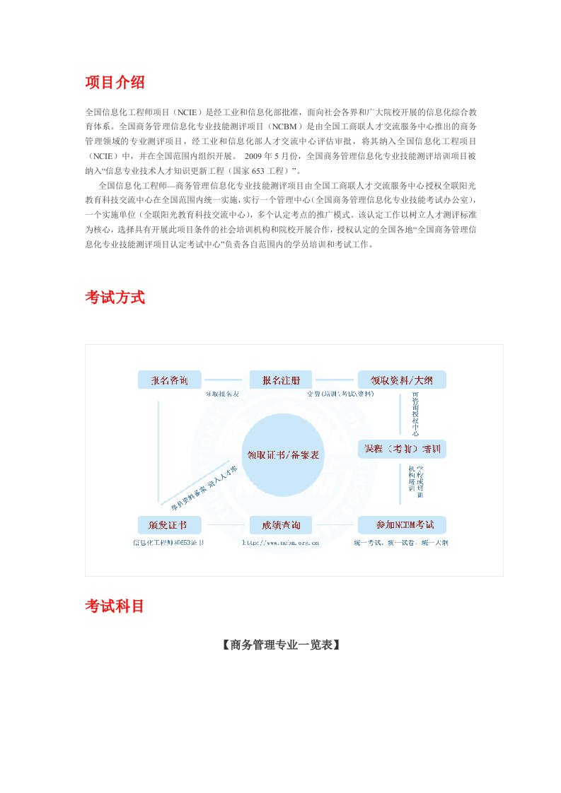 全国信息化工程师项目(NCIE)