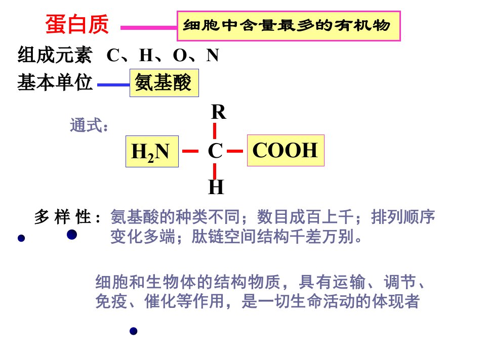 高一生物遗传信息的携带者-核酸