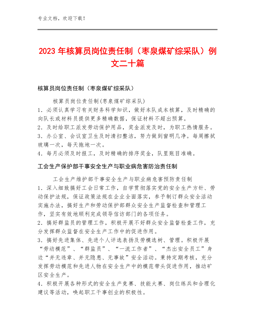 2023年核算员岗位责任制（枣泉煤矿综采队）例文二十篇