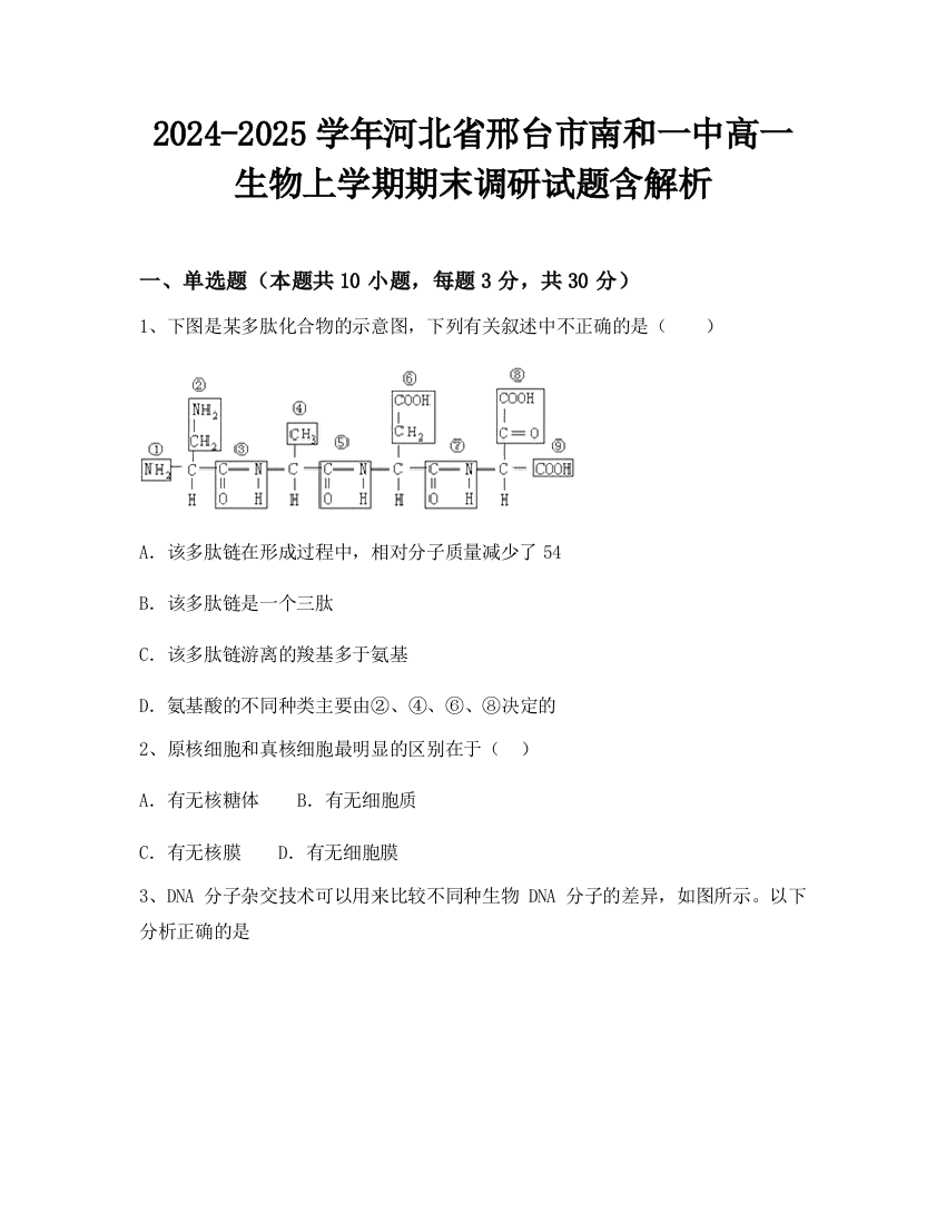 2024-2025学年河北省邢台市南和一中高一生物上学期期末调研试题含解析