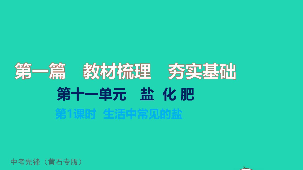 黄石专版2022中考化学第二篇专题突破能力提升第十一单元盐化肥第1课时生活中常见的盐练本习题课件