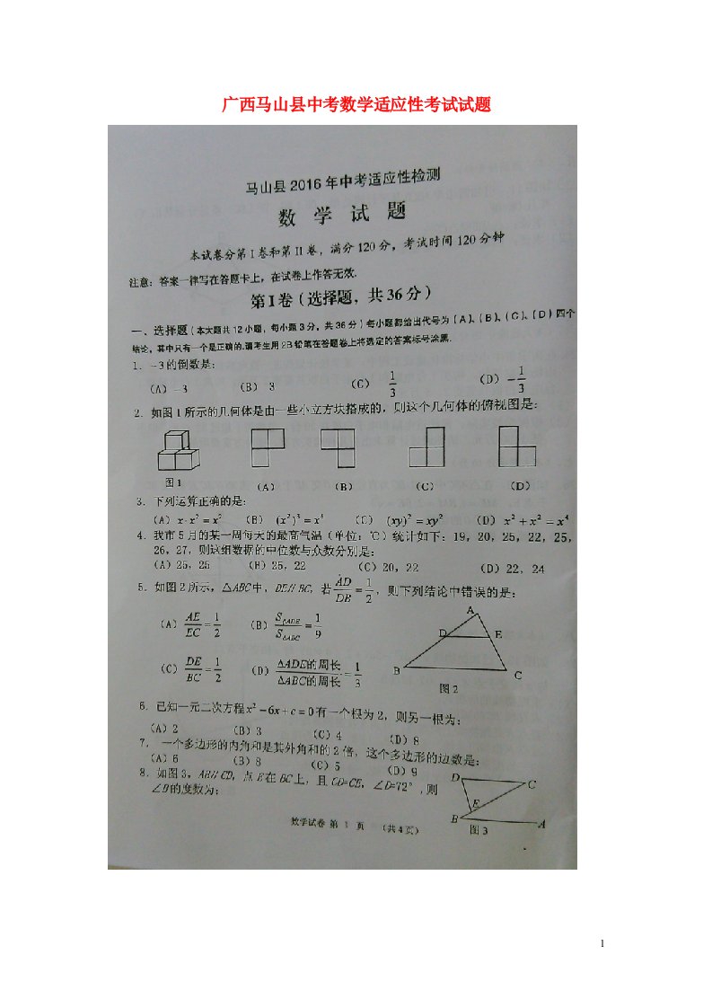 广西马山县中考数学适应性考试试题（扫描版）