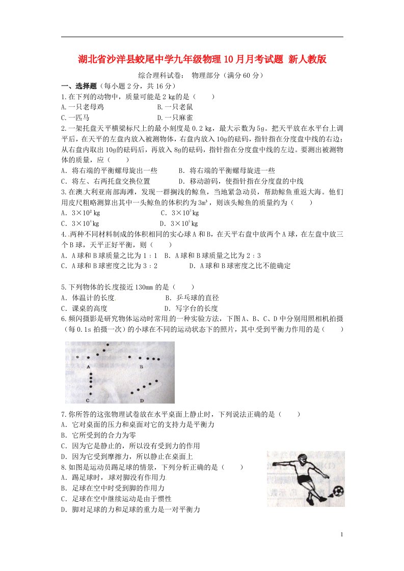 湖北省沙洋县蛟尾中学九级物理10月月考试题