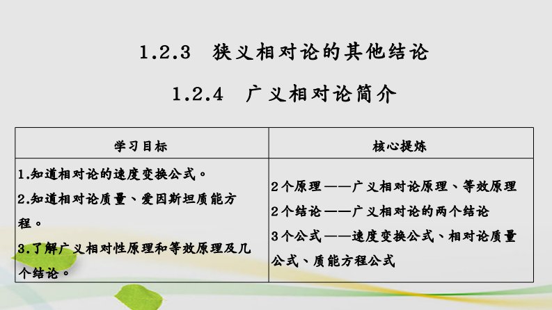 （课改地区专用）高考物理总复习1.2相对论简介1.2.3