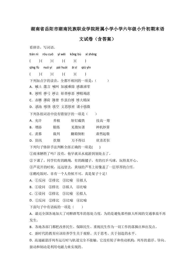 湖南省岳阳市湖南民族职业学院附属小学小学六年级小升初期末语文试卷(含答案)