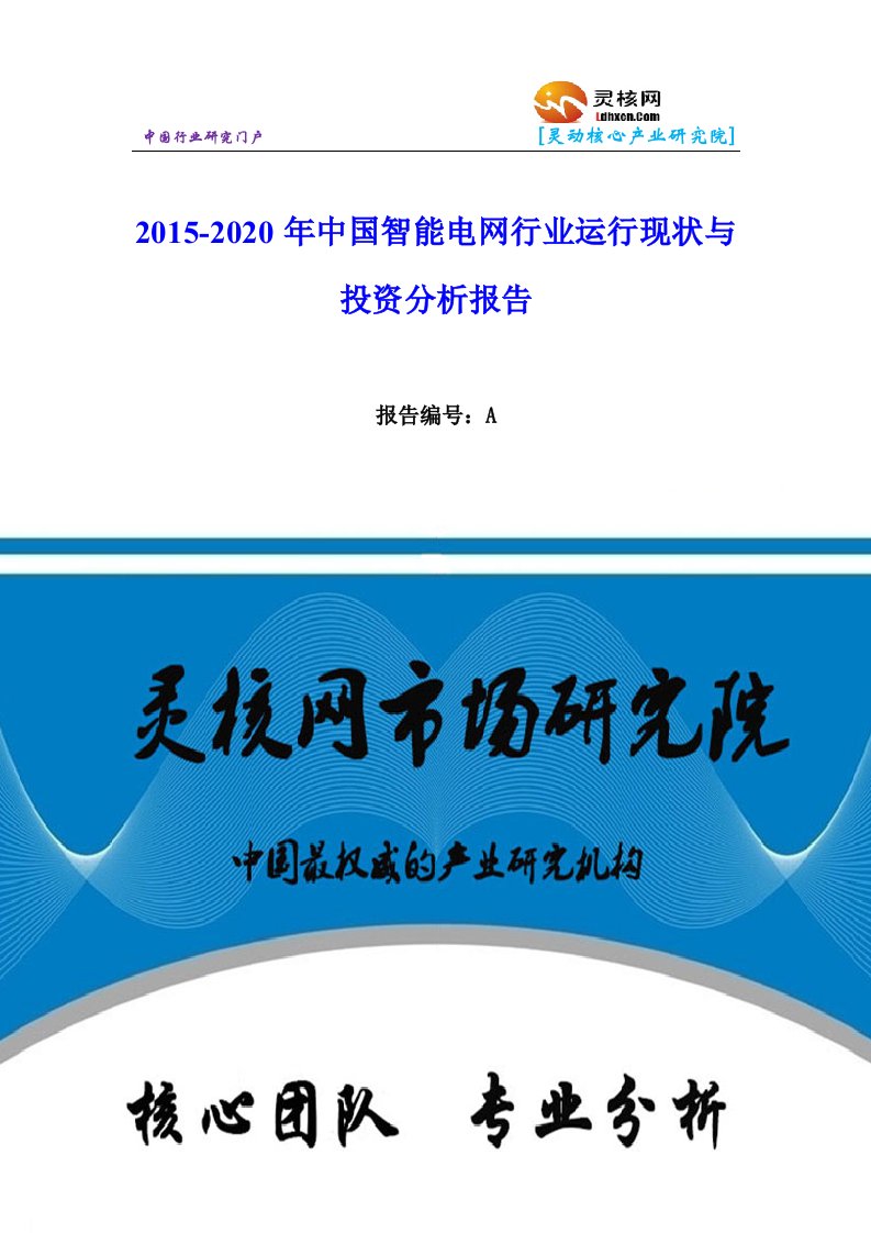 中国智能电网行业市场分析与发展趋势研究报告灵核网