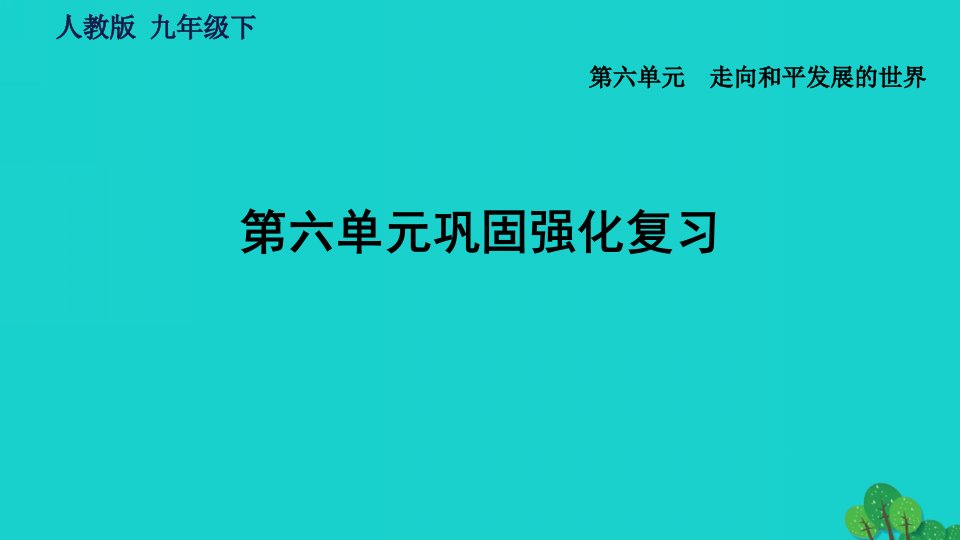 福建专版2022九年级历史下册第六单元走向和平发展的世界巩固强化复习习题课件新人教版