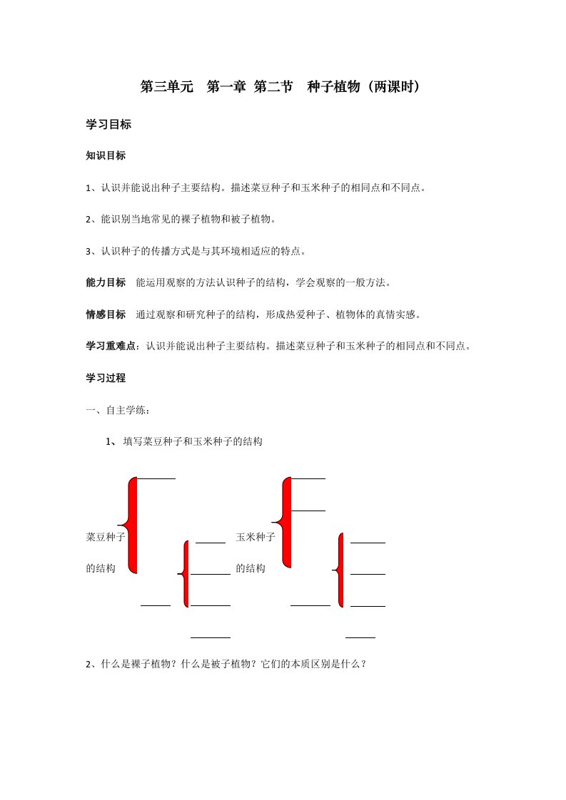 种子植物学案