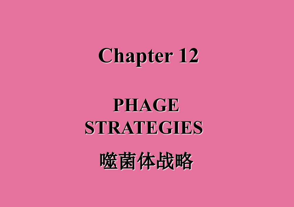 基础分子生物学12噬菌体策略ppt课件