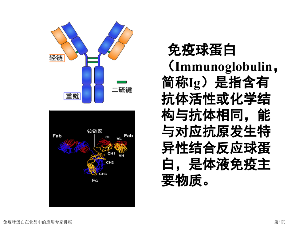 免疫球蛋白在食品中的应用专家讲座