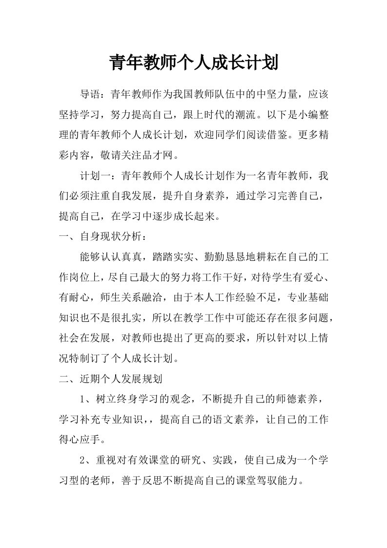 青年教师个人成长计划