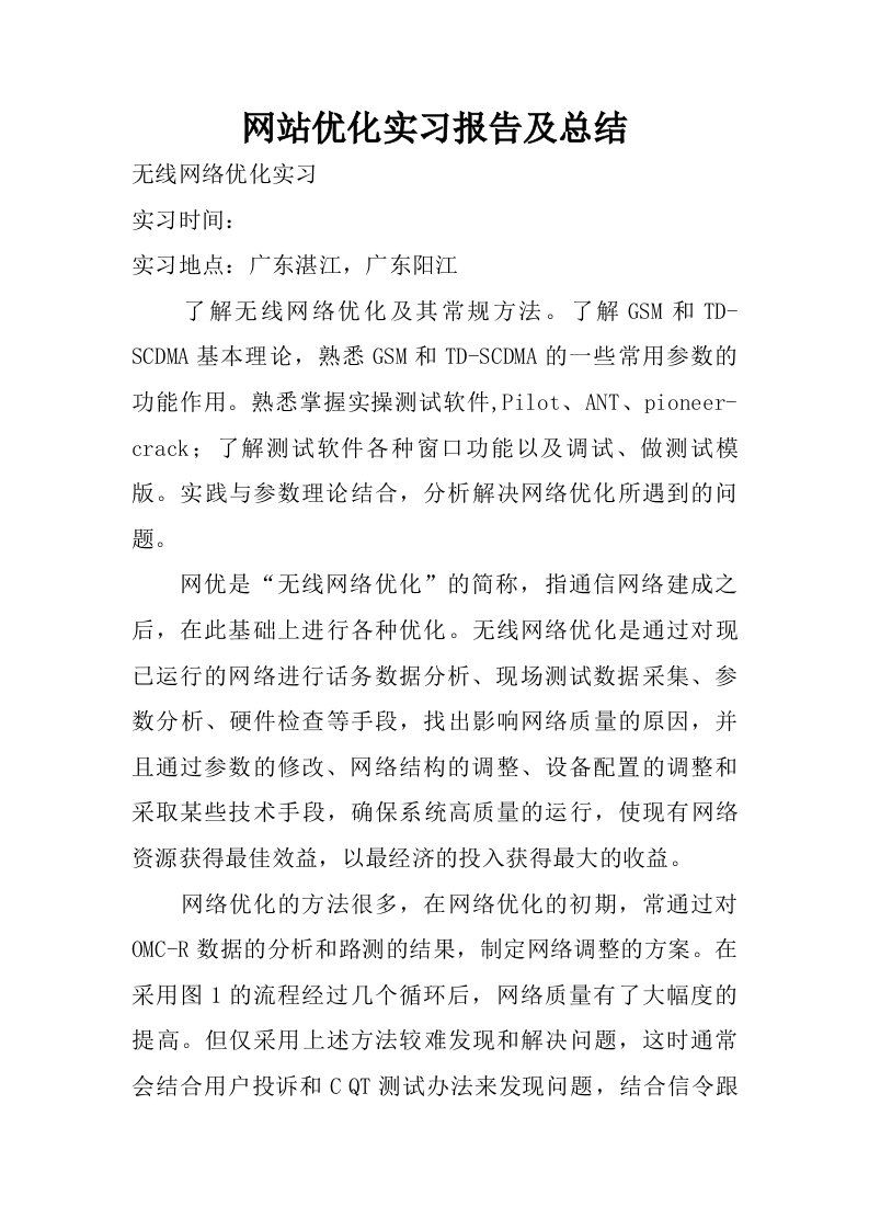 网站优化实习报告及总结.doc