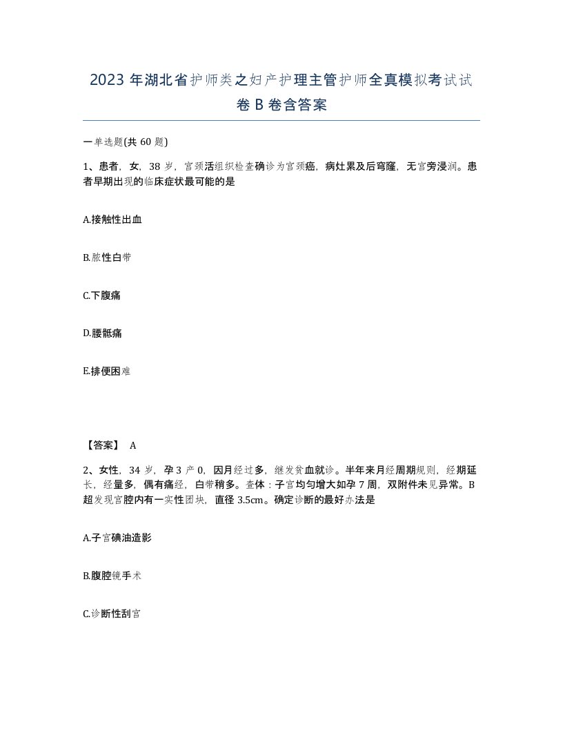 2023年湖北省护师类之妇产护理主管护师全真模拟考试试卷B卷含答案