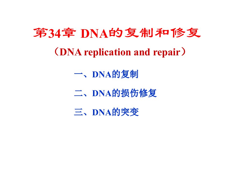 生物化学第34章dna的复制和修复