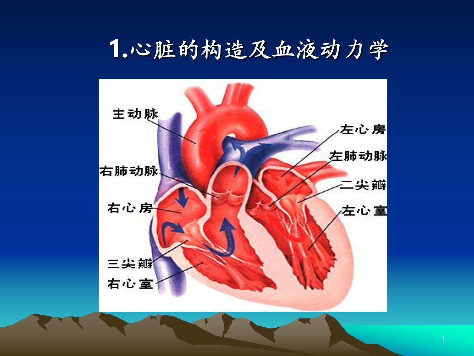 常规心电图识别ppt课件