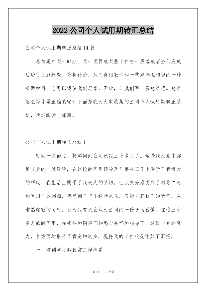 2022公司个人试用期转正总结_1