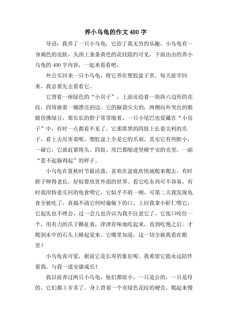 养小乌龟的作文400字