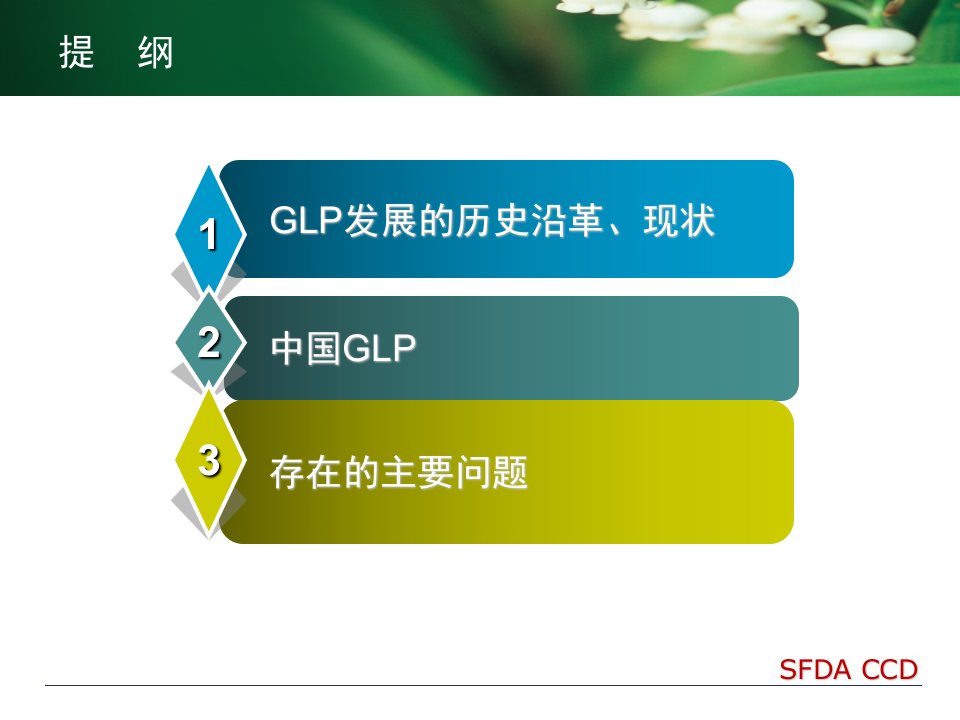 glp历史和现状曹彩北京glp