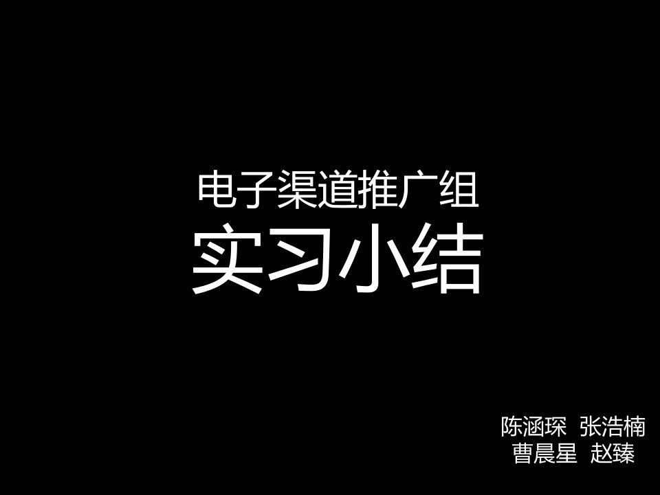 电渠推广组报告_final